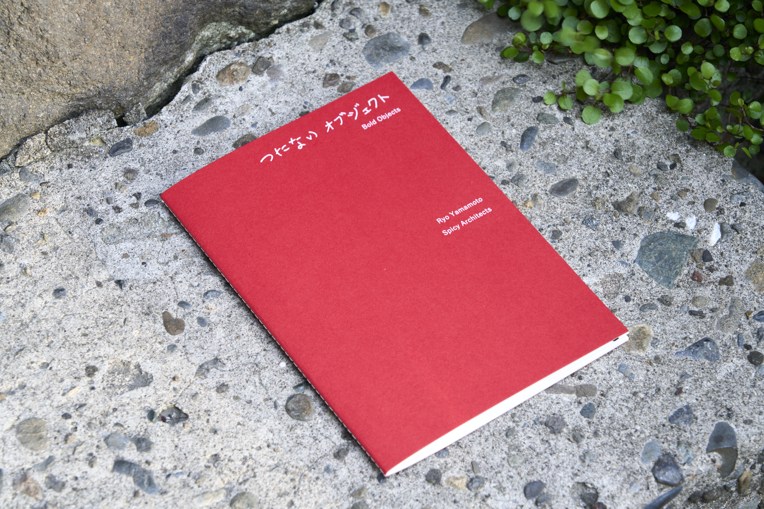 https://spicyarchitects.com/wp-content/uploads/2025/04/つたないオブジェクト.jpg